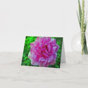 De verstoorde Roze Kaart van de Nota van de Bloem