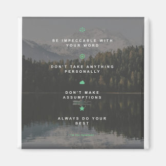 De vier overeenkomsten magneet