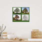 De vier seizoenen poster (Keuken)