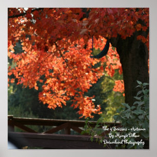 De vier seizoenen - Poster in het najaar