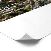 De vierde tempel van Ezekiel Poster (Hoek)