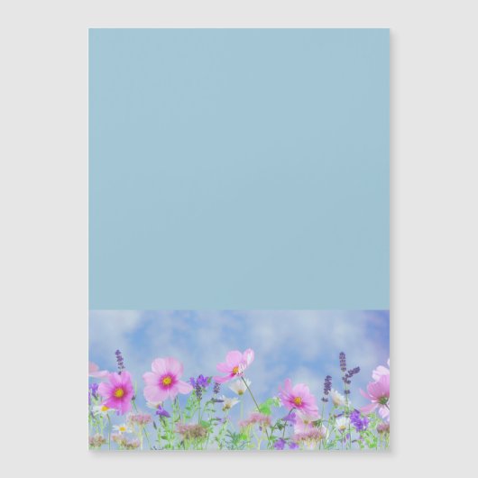 de viering van de de douchepartij van de (Voorkant)