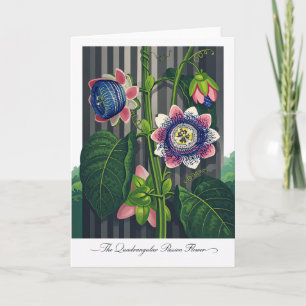 De Vierkante Passiebloem Moderne Botanische Kunst Kaart