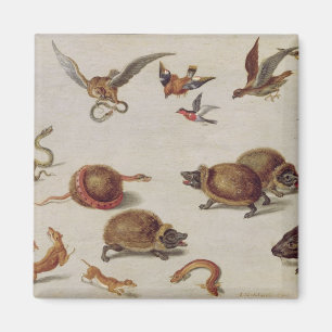 De vijanden van slangen magneet