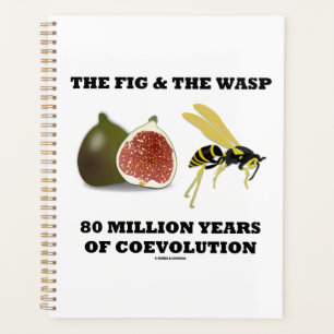 De vijg & de wesp 80 miljoen jaar co-evolutie planner