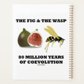 De vijg & de wesp 80 miljoen jaar co-evolutie planner (Achterkant)