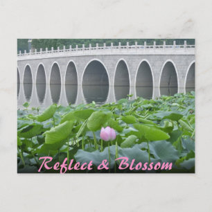 De Vijver die van Lotus op de Bogen van de Brug Briefkaart