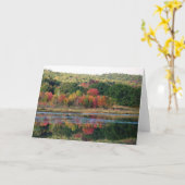 "De Vijver van de Stad van de schildpad " Kaart (Gele Bloem)