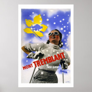 De Vintage Reis van Canada Poster
