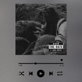 De Virale Trend van het Hoesje van het album spare Kaart