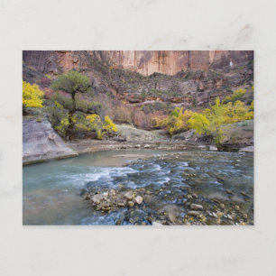 De Virgin River in de herfst in Zion National Park Briefkaart