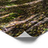 De Virginia Creeper Trail Poster (Hoek)