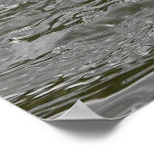 De vis neemt het aas. poster (Hoek)