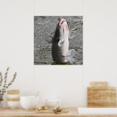 De vis neemt het aas. poster (Keuken)