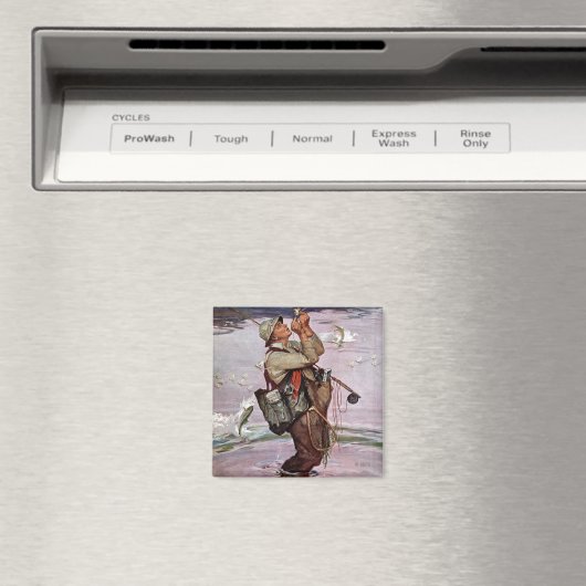 De vis pompt. magneet (Insitu (Vaatwasser))