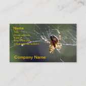 De Visite Autobus. Carte - araignée sur le Web (Devant)