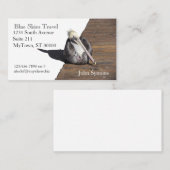 De Visite Bus. Carte - Pélican sur la jetée (Devant / Derrière)