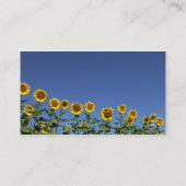 De Visite Carte Sunflower (Dos)