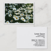 De Visite Daisées, Mini Carte photo (Devant / Derrière)