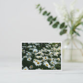 De Visite Daisées, Mini Carte photo (Debout devant)