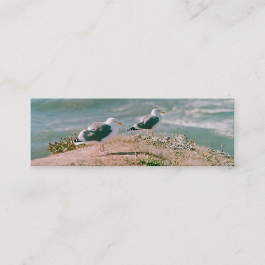 De Visite Mini Bus. Carte - Mouettes sur Cliff (Devant)