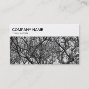 De Visite Panneau supérieur - Branches d'hiver 04 BW Carte d