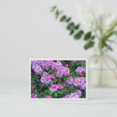 De Visite Rhododendrons, Mini Carte photo (Debout devant)