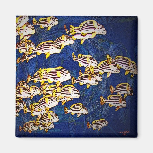 De vissen magneet (Voorkant)