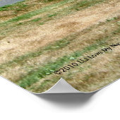 De Vissen Shanty Poster (Hoek)