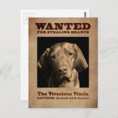 De Vivacious Vizsla Briefkaart (Voorkant / Achterkant)