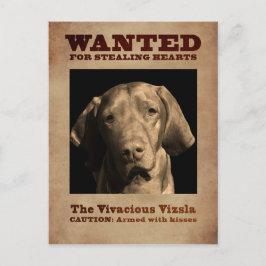 De Vivacious Vizsla Briefkaart