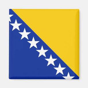 De Vlag van Bosnië-Herzegovina Magneet
