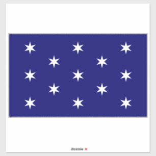 De vlag van de opperbevelhebber van George Washing Sticker