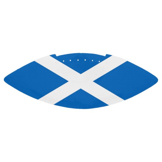 De vlag van het Patriottisch-Amerikaanse football  (Paneel)