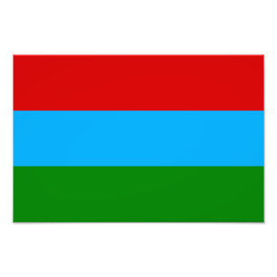 De vlag van Karelië Foto Afdruk