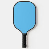 De vlag van Madison, Wisconsin Pickleball Paddle (Achterkant)