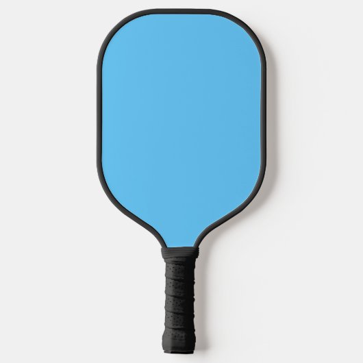 De vlag van Madison, Wisconsin Pickleball Paddle (Achterkant)