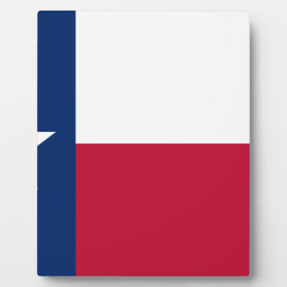 De vlag van Texas Fotoplaat