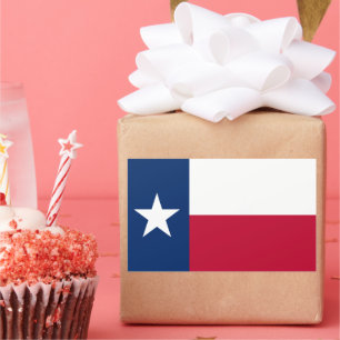 De vlag van Texas Rechthoekige Sticker
