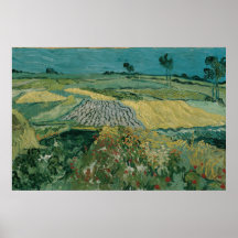 De vlakte van Auvers - Vincent van Gogh