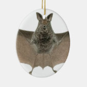 de vleermuis keramisch ornament (Rechts)