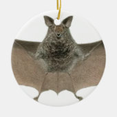 de vleermuis keramisch ornament (Voorkant)