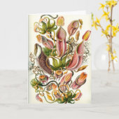 De vleesetende Kaart van het Plant (Gele Bloem)