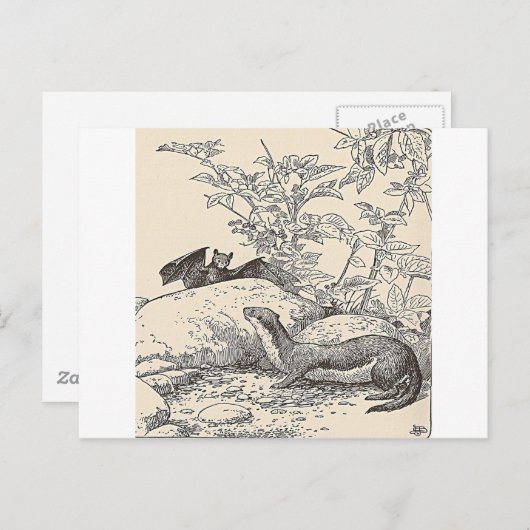 De vlek en de gootsteen briefkaart (Voorkant / Achterkant)