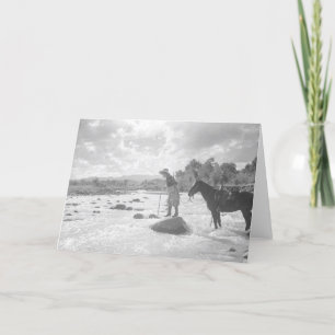 De vlieg die van Frances Phelps Belden in de Kaart