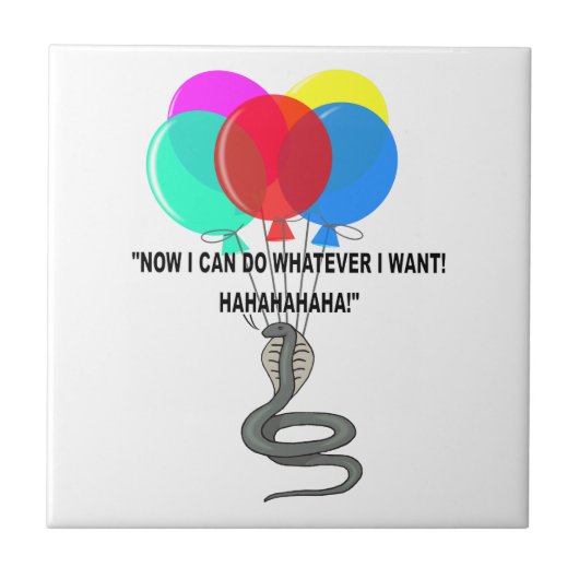 De vliegende slang tegeltje (Voorkant)