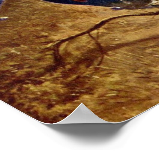 De vlinder poster (Hoek)