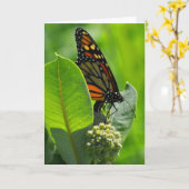 De vlinder van de monarch kaart (Gele Bloem)