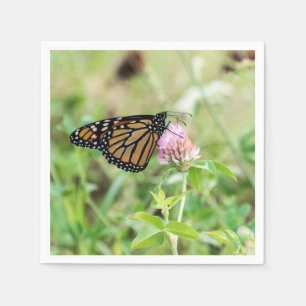 De Vlinder van de monarch Servet