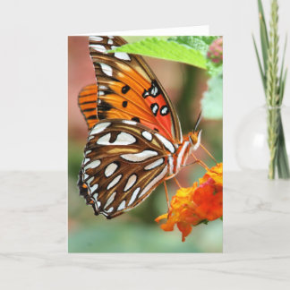 De Vlinder van Fritillary van de golf Kaart